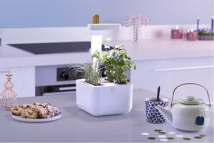 Produktbild Véritable Botaneo Eylo (18.40 cm)