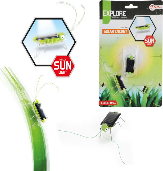 Produktbild Toi-Toys Entdecken Sie Solar Grasshopper