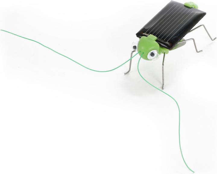 Produktbild Toi-Toys Entdecken Sie Solar Grasshopper