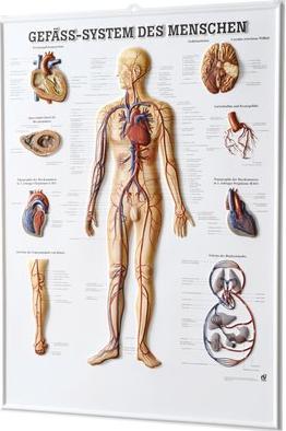 Image du produit Ruediger RÜDIGER 3D Relief Poster Système de récipients 74 x 54 fr (54 x 74 cm)
