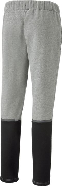 Produktbild Puma teamCUP Casuals Pants (S)