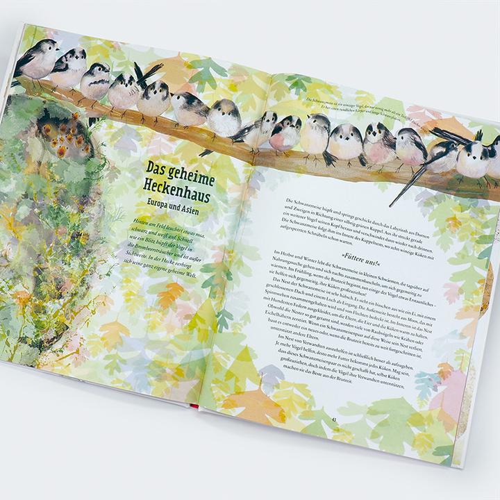 Actual product image Aus der Vogelperspektive (German, Tim Birkhead, Catherine Rayner, Rita Gravert, 2023)
