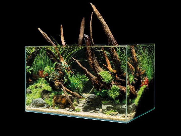 Immagine prodotto Oase Acquario ScaperLine 100, 250 l (250 l)