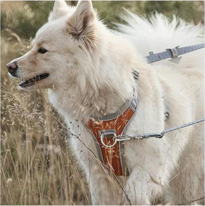 Produktbild Hurtta Geschirr Venture No-Pull, 60-80, Grau (60, 62, 68, 80, Hund, Allgemein)