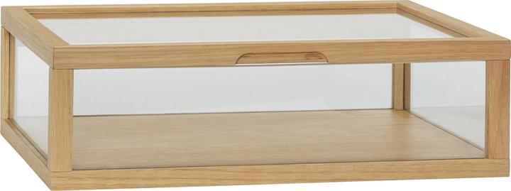 Immagine prodotto Hübsch Visualizza il vaso di vetro decorativo (40 x 30 x 12 cm)