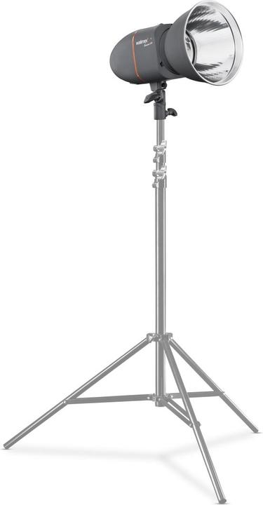 Image du produit Walimex pro Flash de studio Pro Newcomer 300 (300 W, Tête de flash)