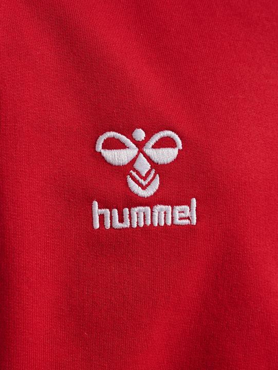 Actual product image hummel Hmlgo 2.0 Zip Hoodie Kids (116)