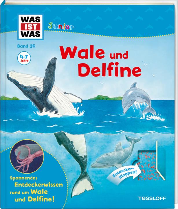 Actual product image Tessloff WAS IST WAS Junior 26. Wale und Delfine (German, Bärbel Oftring, 2018)
