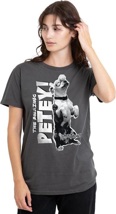 Produktbild The Little Rascals Amazing Petey TShirt (XXL)