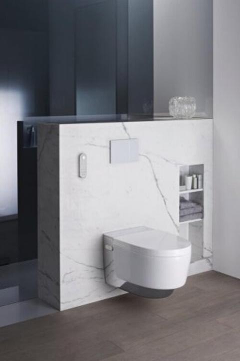 Actual product image Geberit Aquaclean Mera Classic