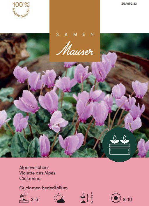 Image du produit Samen Mauser Cyclamen hederifolium (Graines de fleurs)