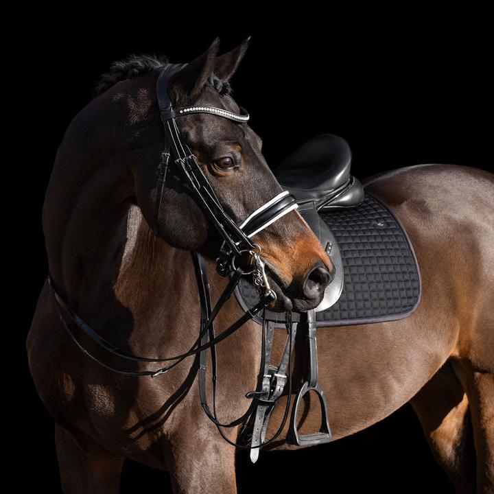 Produktbild HV Polo Legacy