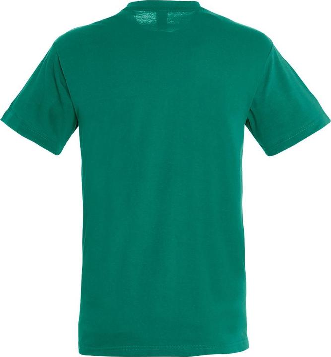 Image du produit Sols - T-shirt REGENT - Homme (3XL)