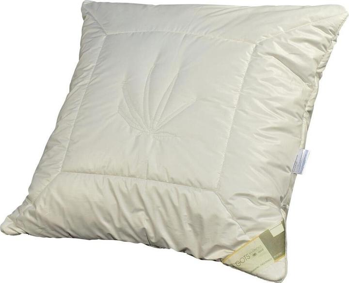 Produktbild Traumschlaf BIO Hanf (80x80 cm)