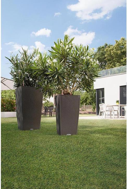 Immagine prodotto Lechuza Vaso da fiori Cubico Cottage 40 (40 cm)