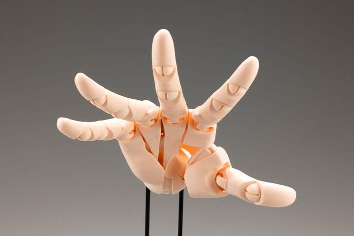Image du produit Kotobukiya Takahiro Kagami PVC Artist Support Item Hand 1/1 Model/R Pale Orange 21 cm