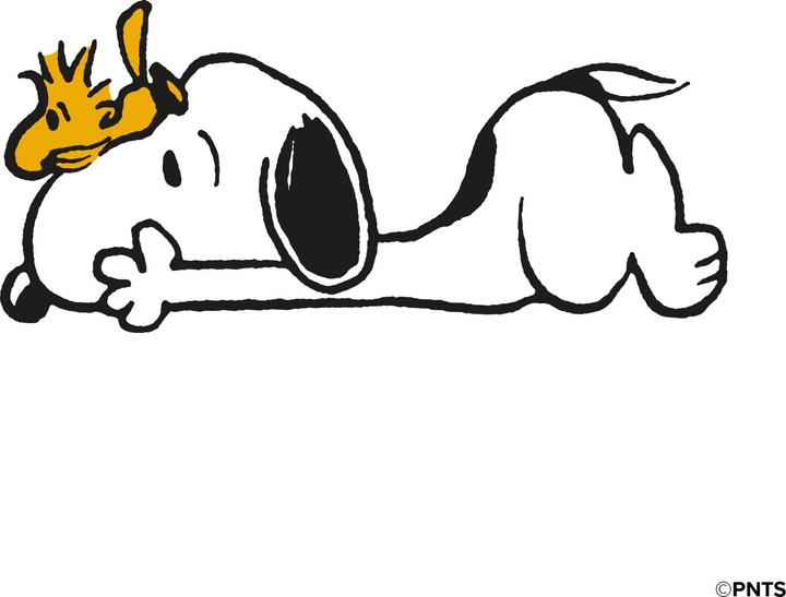 Immagine prodotto SBS Peanuts Snoopy Classico (Borsa per cuffie)
