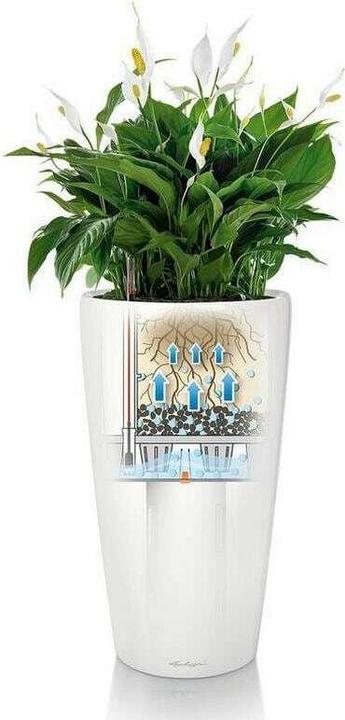 Immagine prodotto Lechuza RONDO Premium. (40 cm)