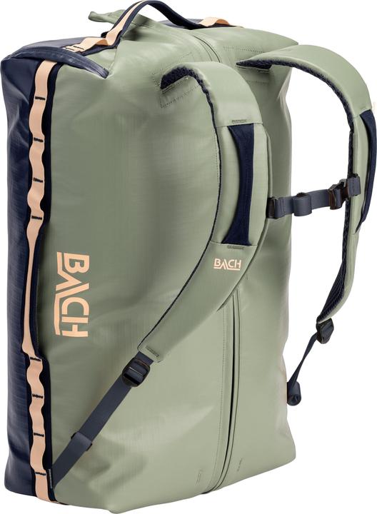 Sage Green, Midnight Blue