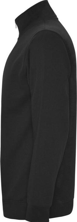 Actual product image Alpinia Mens Aneto Quarter Zip Sweatshirt (M)