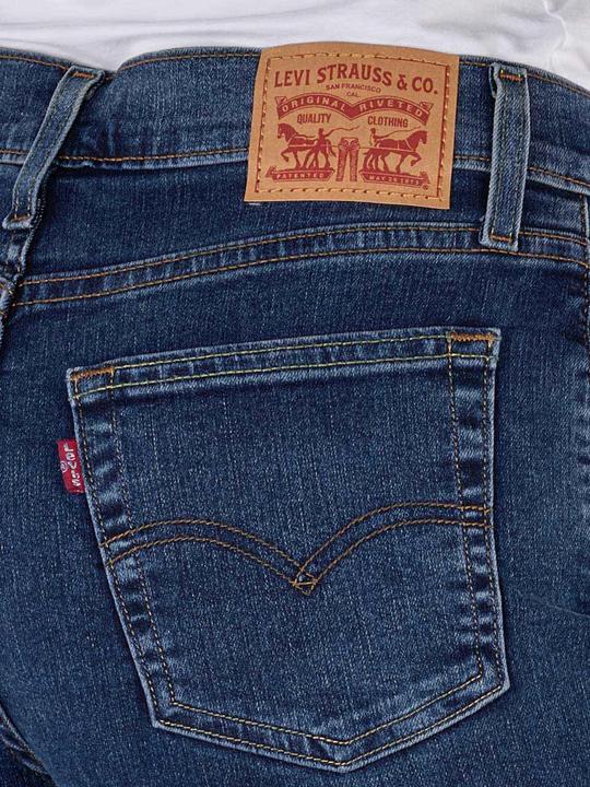 Image du produit Levis 10021732 (W25/L32)