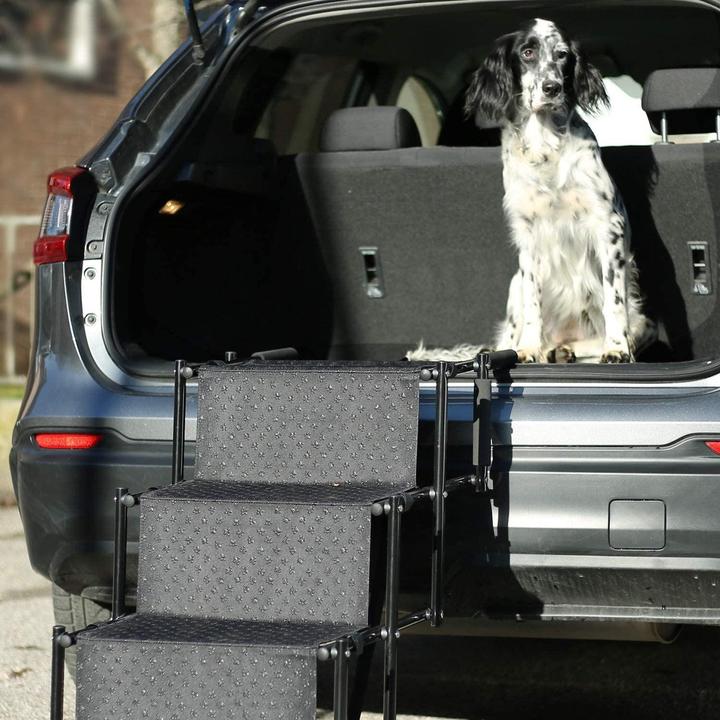Produktbild Esmée Hundetreppe (Hund, Faltbar)