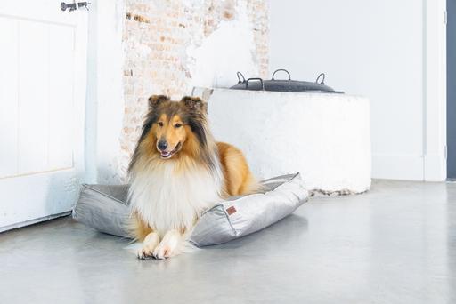 Produktbild Designed by Lotte Nalino (Hund)