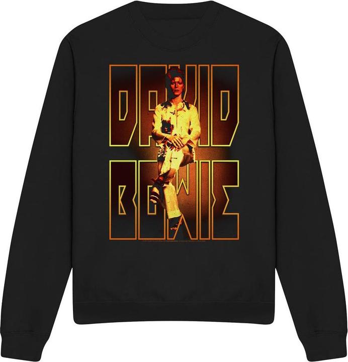 Image du produit David Bowie - Sweat PERCHED - Adulte (S)
