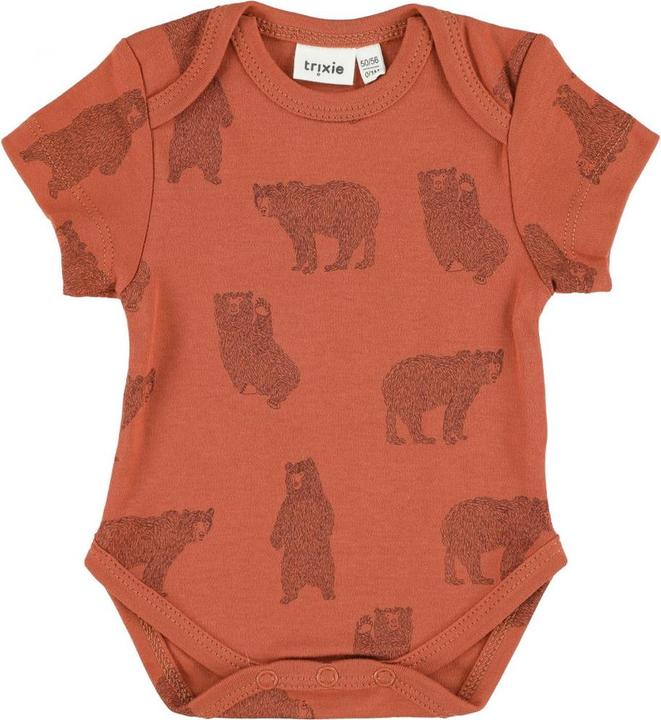 Brave Bear