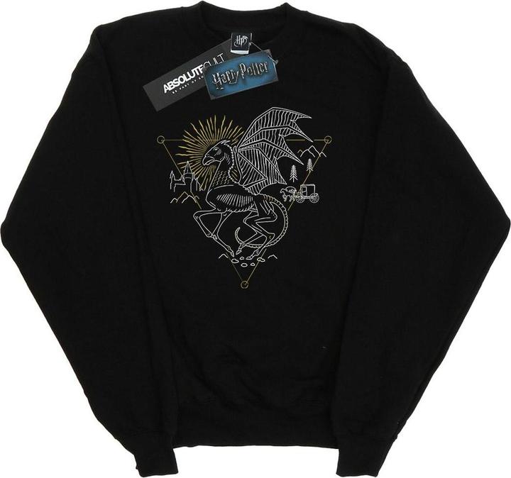 Image du produit - Sweat THESTRAL LINE ART - Fille (152, 158)
