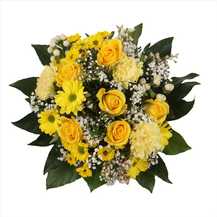 Floramall Sunshine (Schnittblumen)