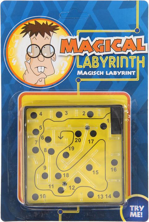 Actual product image Johntoy Labyrinth puzzle