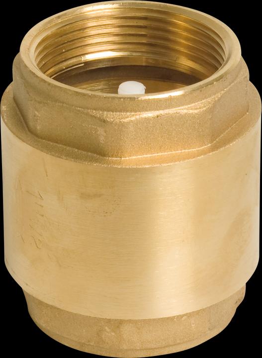Immagine prodotto Profec Rückschlagventil Federbelastet Messing 1/4" Innengewinde 16bar Typ 5