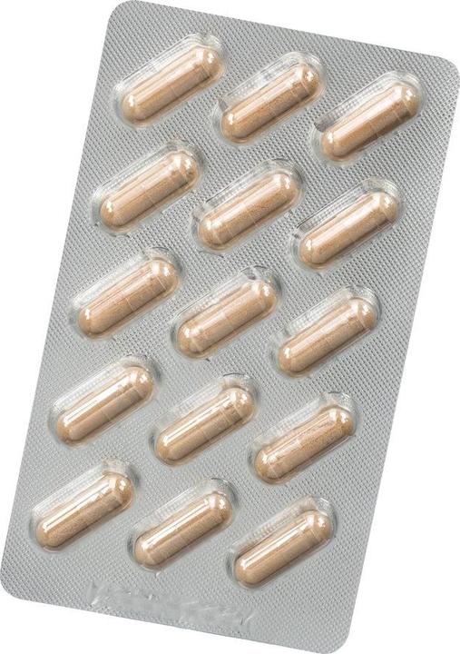 Actual product image Salus Neuro Balance Ashwagandha (30 Piece, Capsules, 32 g)