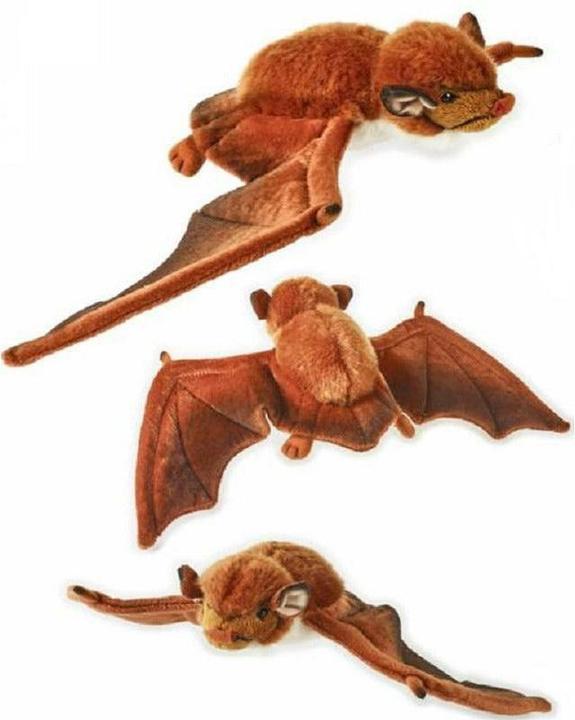 Image du produit National Geographic Bat (40 cm)