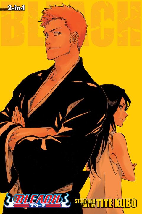 Actual product image Bleach (2-in-1 Edition), Vol. 25 (English, Tite Kubo, 2019)