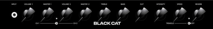 Produktbild Bad Cat »Black Cat« 1x12 Combo (Gitarre, 20 W)