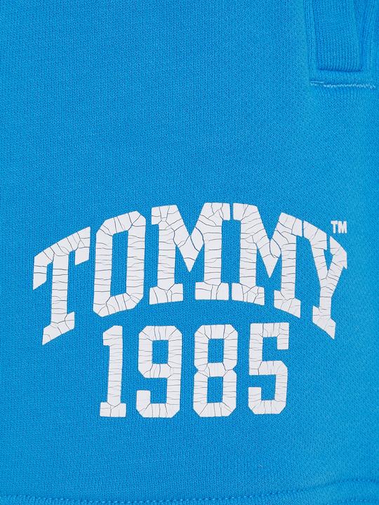 Produktbild Tommy Jeans 85 Shorts - 98573 (L)