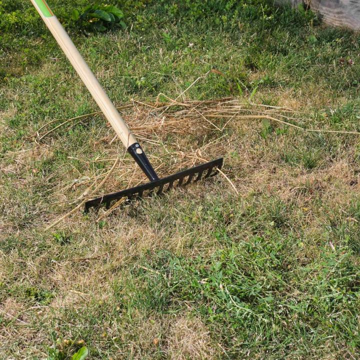 Actual product image Freund Victoria Rake, 66146 Garden rake, made of steel in silver, working width: 40 cm, without handle, handle