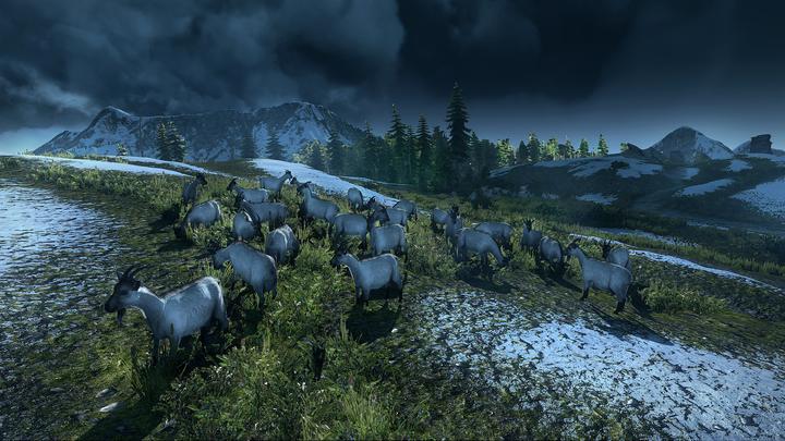 Image du produit The Witcher 3 : Wild Hunt