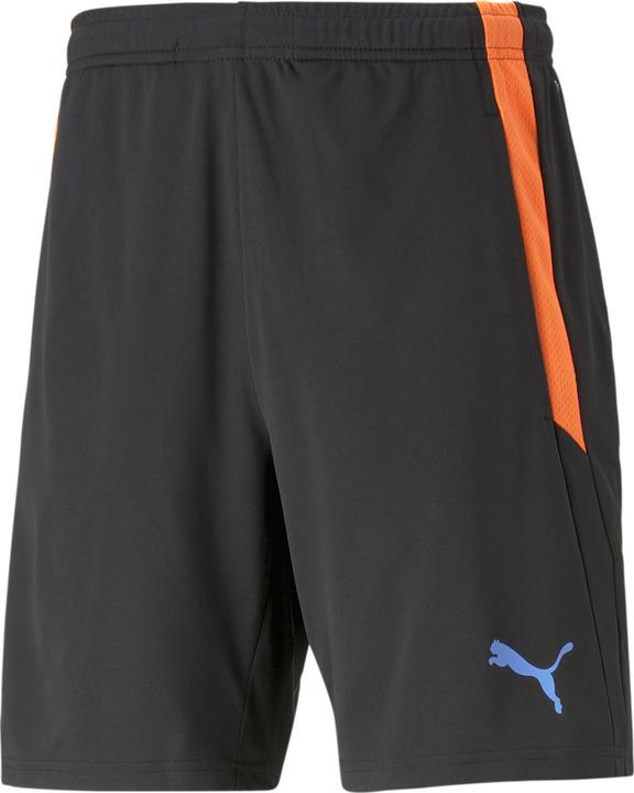 pumablackblueglimmer