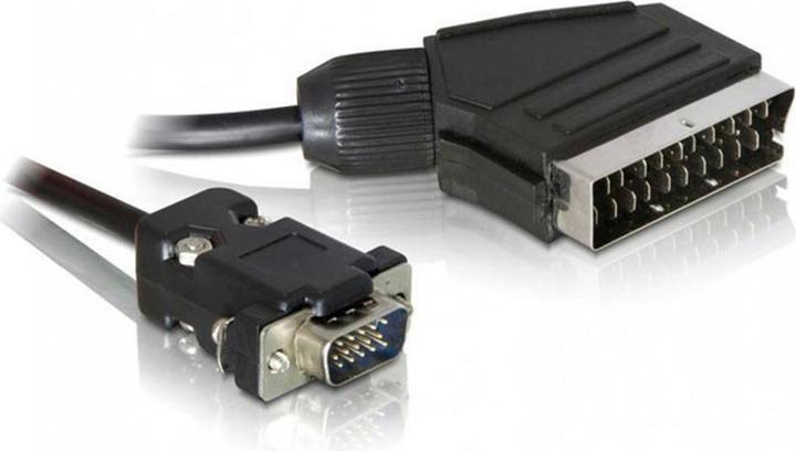 Delock Scart — VGA (2 m, Scart)