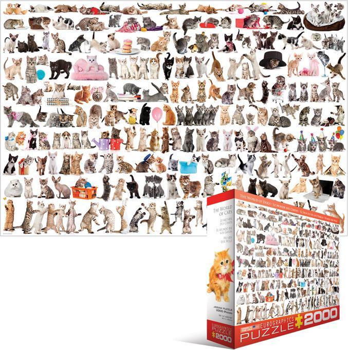 Produktbild Eurographics Welt der Katzen (2000 Teile)