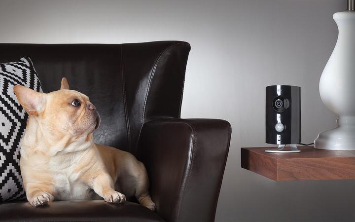 Produktbild Piper Smart Home Kamera NV (1920 x 1080 Pixels)