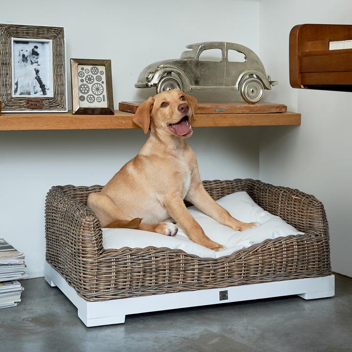 Produktbild Rivièra Maison RR Classic (Hund)