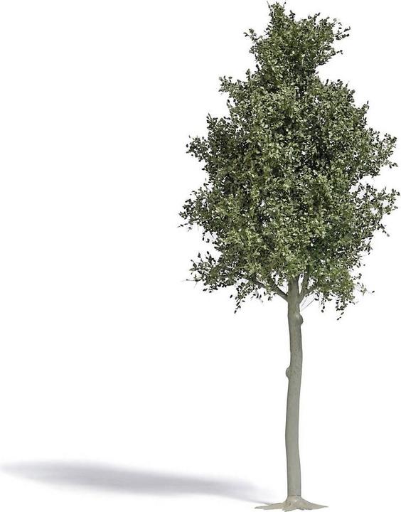 Produktbild Busch H0 Waldbuche 170 mm
