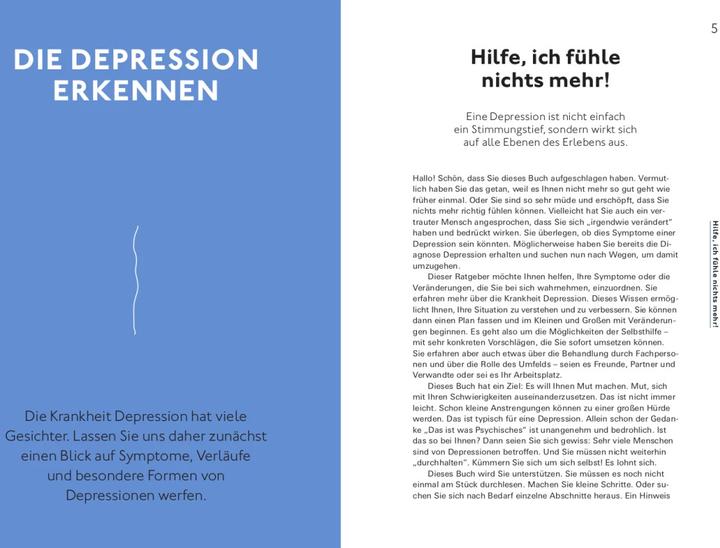 Immagine prodotto Hilfe bei Depressionen (Tedesco, Alexander Bredereck, Mirjam Weinstein-Riechmann, Dr Jana Christina Müller-Flechtenmacher, MD, 2023)