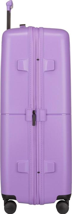 Actual product image American Crew Suitcase & Trolley Dashpop Spinner 77 EXP (104 l)