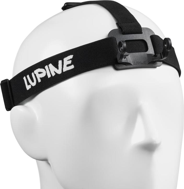 Lupine Headband