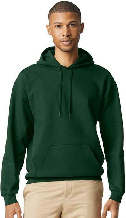 Image du produit Gildan - Sweat à capuche SOFTSTYLE - Adulte (L)